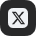 x icon
